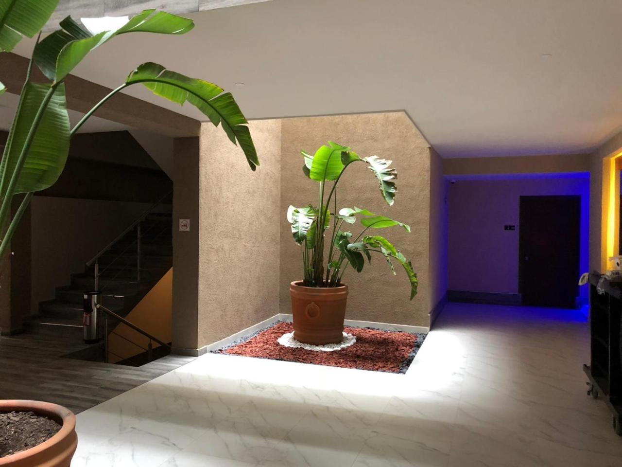 Hotel Plaza Arteaga Monterrey Exterior photo
